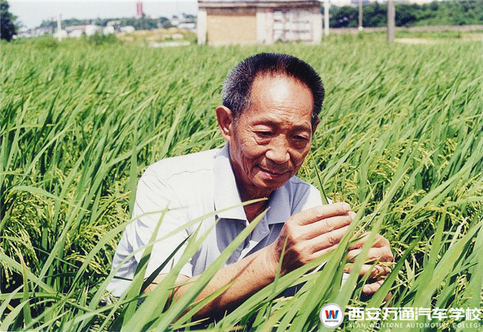 【職素教育】西安萬通國旗下的約定：珍惜糧食，杜絕浪費