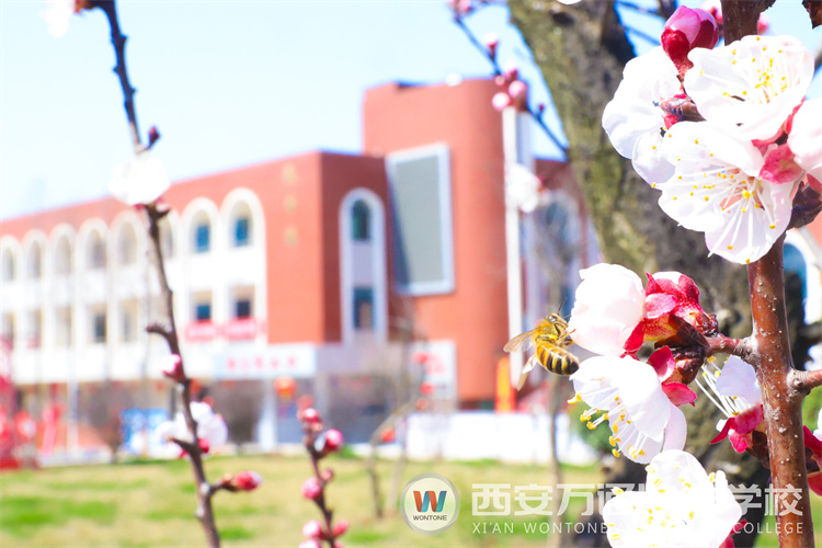 “元素周期表”中尋找西安萬通關(guān)鍵詞！