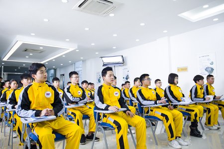 初高中畢業，學汽車技術好，還是學電腦技術好？